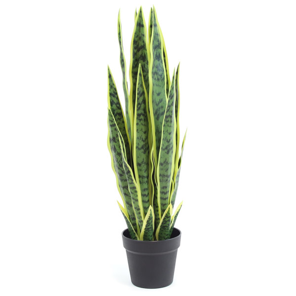 Primrue Faux Snake Plant in Pot Liner & Reviews Wayfair